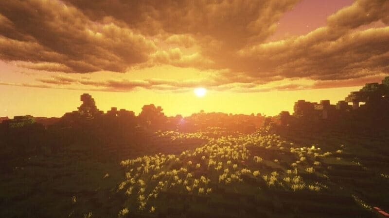 sunflawer shaders
